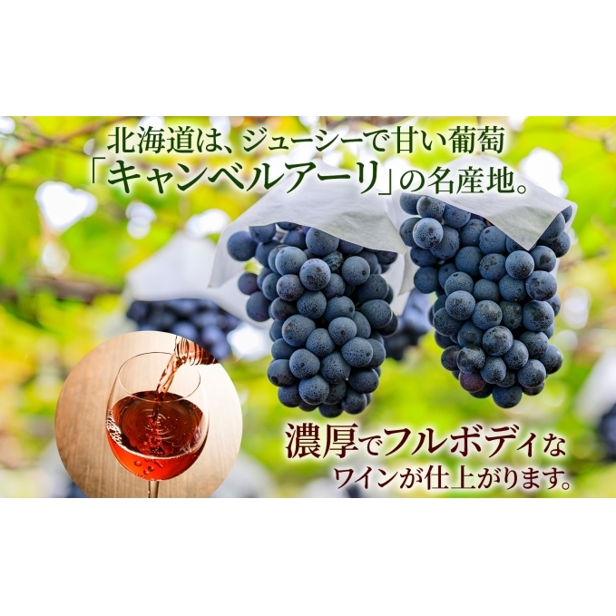 北海道産 おたるロゼワイン 720ml 2本 セット ワイン ロゼワイン お酒 甘口  フルーティー 果実酒 キャンベルアーリ フルーツ ご当地ワイン お取り寄せ 家飲み おつまみ アウトドア おたる