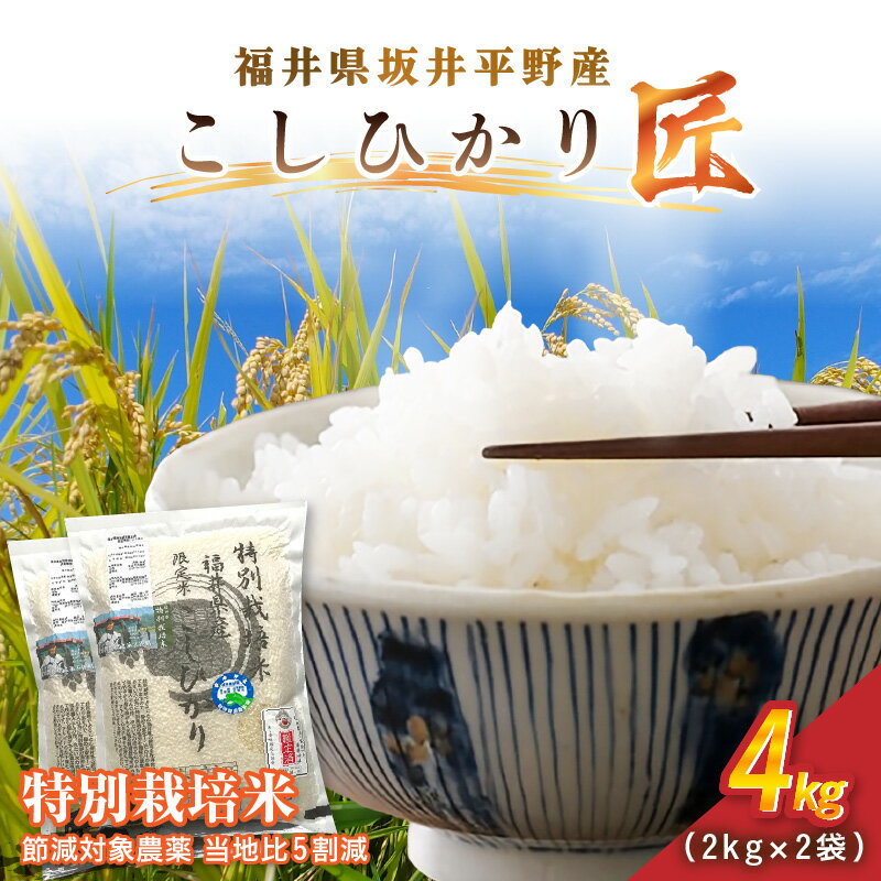 【ふるさと納税】令和7年産 特別栽培米 コシヒカリ匠 4kg（2kg×2袋）節減対象農薬当地比5割減【選べる精米方法：白米 / 玄米】【米 コメ お米 コシヒカリ ふるさと納税米 ブランド米 国産】