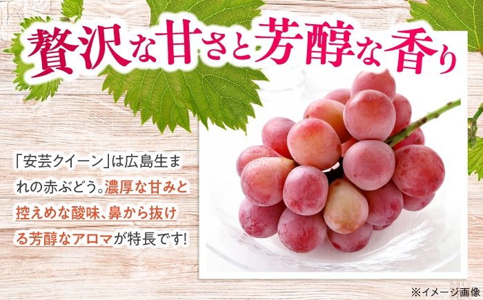 ぶどう ブドウ 葡萄 フルーツ 果物 デザート わけあり 甘い 大粒 スイーツ パック 家庭用 自宅用 安芸 広島県 三次市