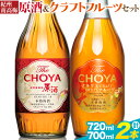 【ふるさと納税】THE CHOYA 紀州南高梅 原酒 720ml CRAFT FRUIT クラフトフルーツ 700ml 計2本 セット 飲み比べ 羽曳野商工振興株式会社《30日以内に出荷予定(土日祝除く)》大阪府 羽曳野市 送料無料 梅酒 梅 酒 CHOYA チョーヤ チョーヤ梅酒 お酒 紀州 南高梅