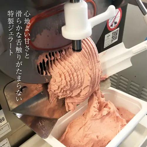 ジェラート 12個セット 食べ比べ 大地の恵み ジェラート