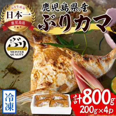 ふるさと納税 垂水市 【鹿児島産ぶり】 冷凍 ぶり カマ 4p (1個入/p、200g) 【アクアブルー】W-4718