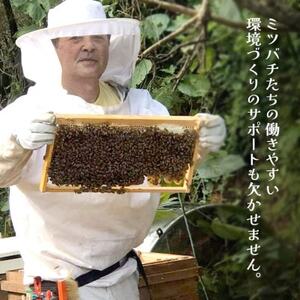 やんばるpure生蜂蜜(国産はちみつ) 甘い百花蜜 180g×3瓶【1581390】
