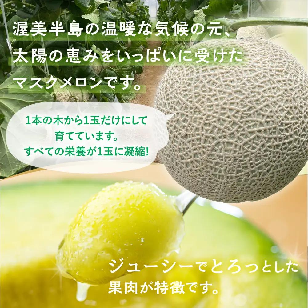 【6月中旬～発送】マスクメロン 2玉 メロン マルカベジフル 