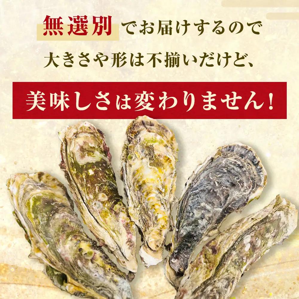 牡蠣 訳あり 宮城県産 無選別 1kg 加熱用 真牡蠣 かき カキ 貝 貝類 海産物 魚介類 海鮮 冷凍 宮城県 宮城 石巻市 石巻