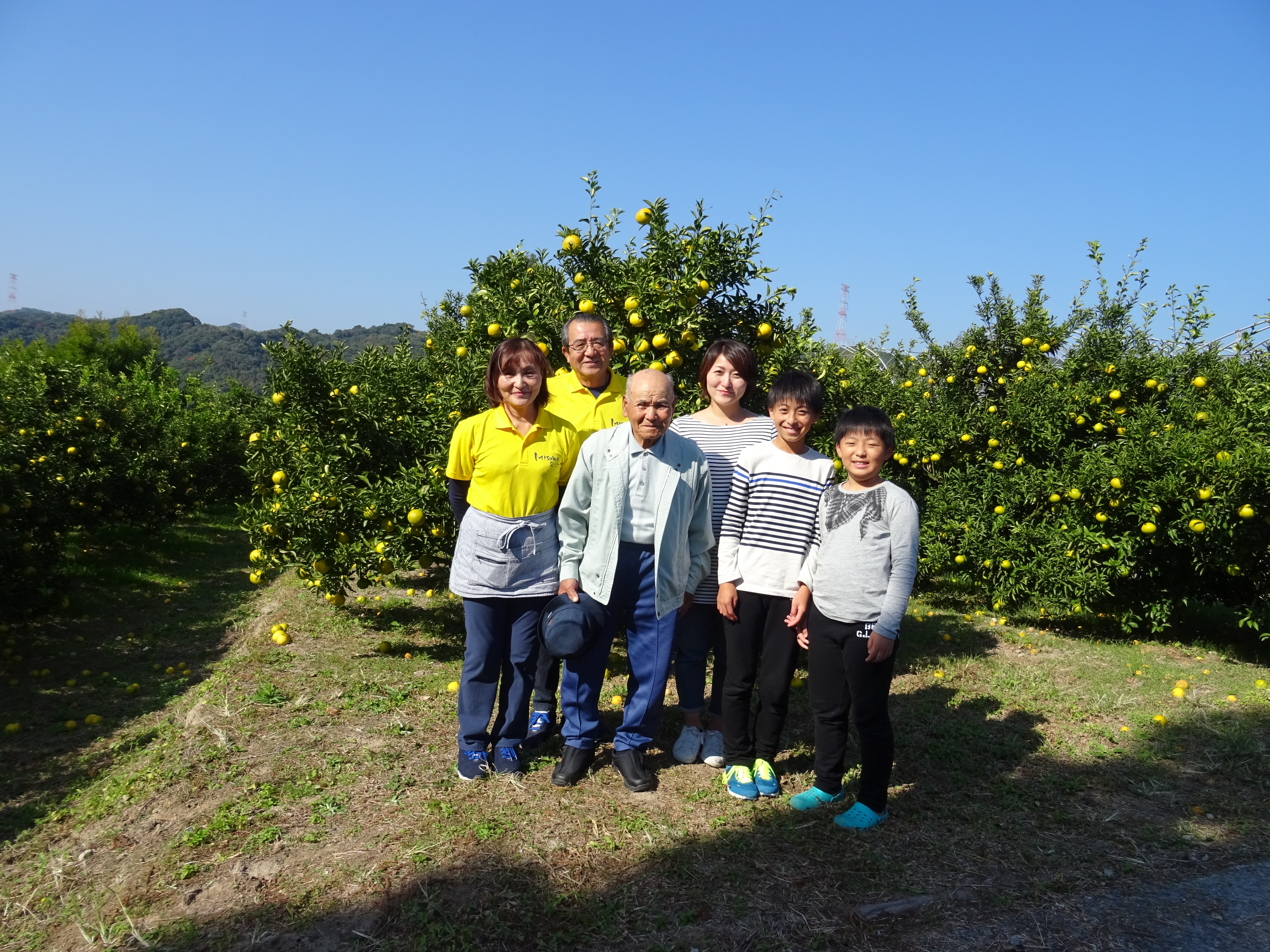【先行予約】 みかん 津の輝 つのかがやき 約3kg 15玉〜25玉 【2026年2月上旬～2026年4月下旬頃順次発送予定】 柑橘 国産