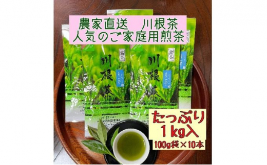 
[№5695-1370]川根茶 ご家庭用 普通煎茶やまびこ1kg (100g袋×10袋セット)
