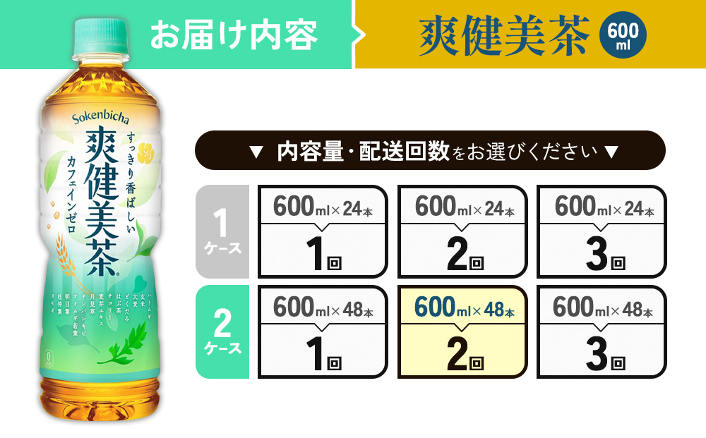 （2回定期便）爽健美茶 600ml PET【コカ・コーラ】ペットボトル 2ケース(48本) 定期便 2回(96本) セット お茶 カフェインゼロ ノンカフェイン ハトムギ ブレンド茶 宮崎県 えびの市 送料無料