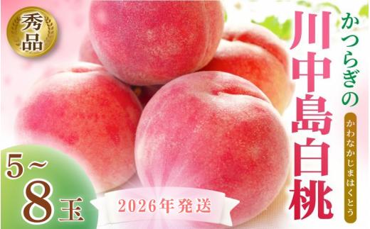 ☆2026年先行予約☆ 和歌山県産 川中島白桃 5～8玉入り 秀品 【2026年7月下旬から8月中旬ごろ発送】/ 桃 白桃 もも モモ 桃 デザート フルーツ 果物 くだもの 果実 食品 旬 先行予約