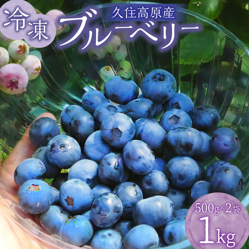 【ふるさと納税】 久住高原 冷凍 ブルーベリー 500g 2袋 計1kg 小分け 栽培期間中 農薬不使用 手摘み 新鮮 ジャム スムージー ヨーグルト フルーツ 果物 特産品 特産 名産 国産 九州 大分県 竹田市 久住高原産 送料無料【2025年7月下旬より順次発送開始予定】