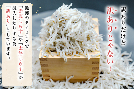 しらす 訳あり お船出 釜揚げしらす 250g 4p 計 1kg [お船出ちりめん村上屋 宮崎県 日向市 452061049]