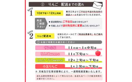りんご「サンふじ」10kg（40～50玉）秀品 小玉サイズ 【2025年1月上旬頃～下旬頃発送予定】／ お取り寄せ ご当地 特産 果物 フルーツ くだもの リンゴ 林檎 季節 冬 食後 デザート 20