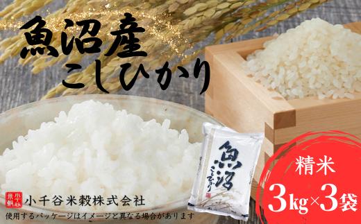 令和7年産 魚沼産コシヒカリ 3kg×3袋 小千谷米穀 | 新潟県産 コシヒカリ お米 米 おこめ こめ コメ こしひかり 精米 白米 魚沼産 ブランド米 人気 おすすめ 産地直送 新潟県 小千谷市 【0002-BE03-01】