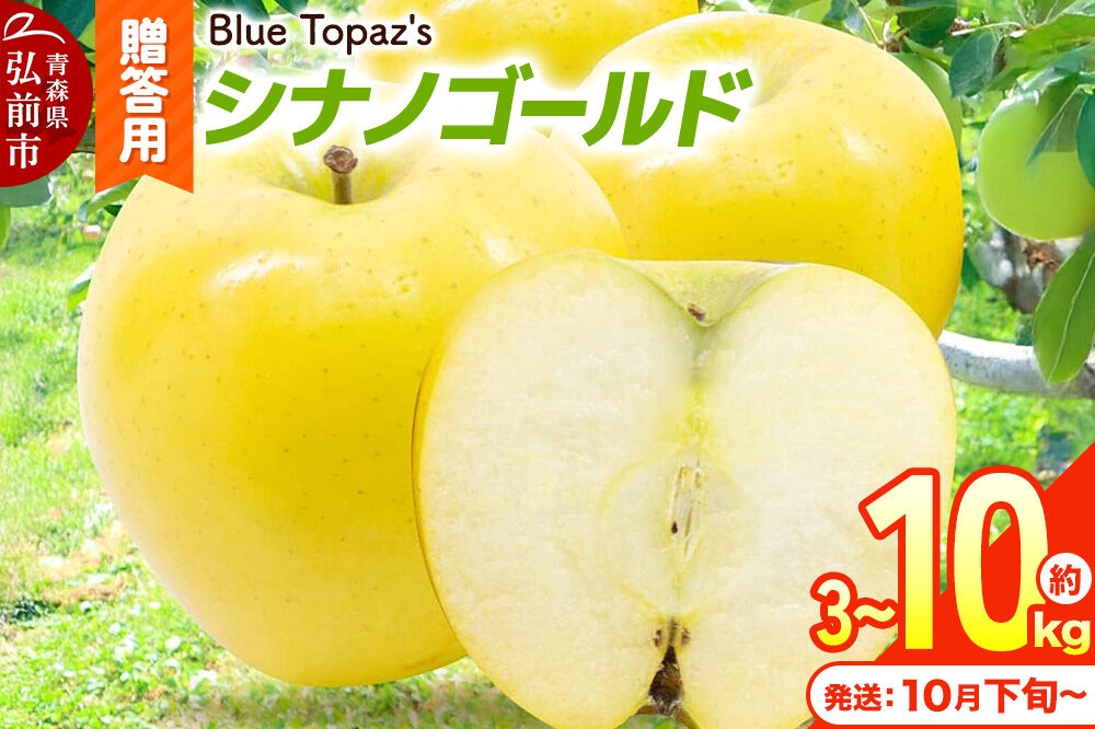 
                  りんご【26年10月下旬～発送】シナノゴールド 贈答用【選べる約 3kg／5kg／10kg】内のし付き 青森県 弘前市 [アップル おいしい ふじ りんご 果実 果物 黄色 津軽 糖度 美味 林檎]
                
