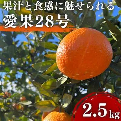 愛果28号 みかん 紅まどんな同品種 愛媛県産 愛果28号【約2.5kg】【先行予約】