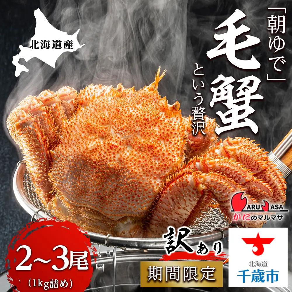 北海道産【朝ゆで】訳あり毛がに 1.0kg詰