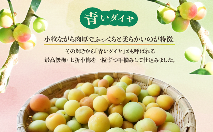 梅シロップ 七折小梅の梅シロップ 500ml×6本 / 梅シロップ シロップ 梅 うめ ウメ 七折小梅 梅ジュース 国産 砂糖 炭酸割り かき氷 お菓子作り うめジュース 希釈用 おいしい 家庭用 人