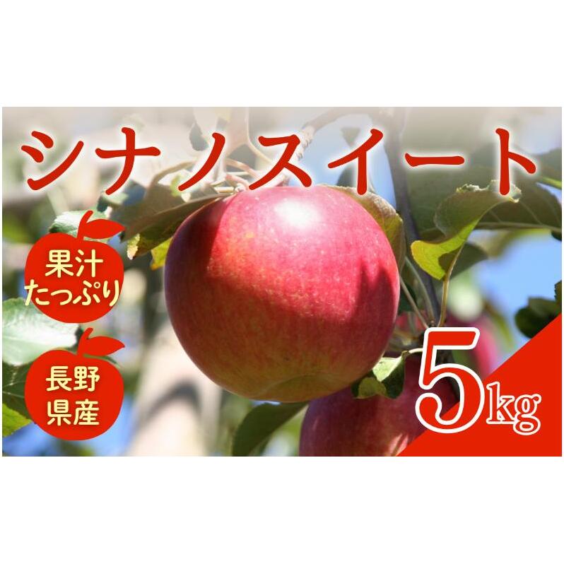 シナノスイート　5kg　りんご リンゴ 林檎 果物 フルーツ 長野