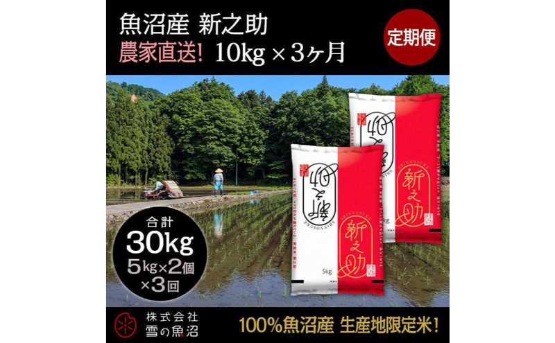【令和7年産】定期便！魚沼産 新之助【合計30kg】10kg×3回 お米 米 こめ コメ 