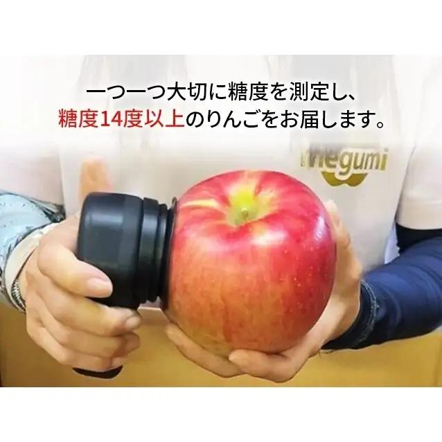 【10月中旬発送】訳あり りんご 糖度14度以上 高糖度 megumi farmの紅玉 家庭用 約5kg（10～25玉入） 果物 フルーツ 産地直送 料理 青森県 鰺ヶ沢町