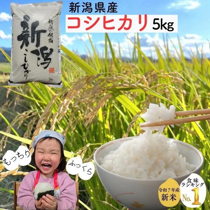 コシヒカリ 新潟県産 5㎏ 無洗米 コシヒカリ 上越市