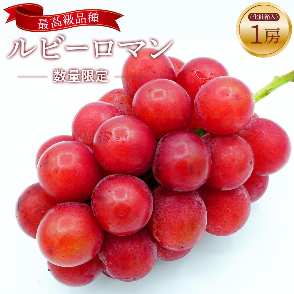 【ふるさと納税】【2026年先行予約】【数量限定】先行予約 JA金沢市 ルビーロマン 金沢市産 | 石川 金沢 加賀百万石 加賀 百万石 北陸 北陸復興 北陸支援