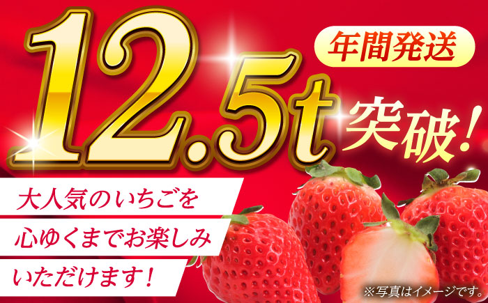 《4月より発送開始》 【3回定期便】 大粒いちご L～2L ゆうべに 1kg（4pc）【熊本ベリー】 [ZER025]