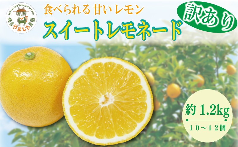 
                  【2026年10月順次発送】 訳あり スイートレモネード 1.2kg (10～12個)  レモン れもん 檸檬 柑橘 フルーツ 果物 完熟 国産 ノーワックス 農家直送 新鮮 果汁 レモンサワー お酒 ハイボール レモネード ジュース 酎ハイ ケーキ 揚げ物 唐揚げ 小松島 徳島
                