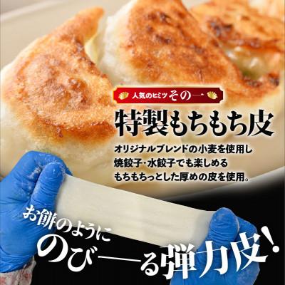 ふるさと納税 苫小牧市 【ぎょうざの宝永】宝永餃子(500g×5袋)合計2.5kg |  | 01