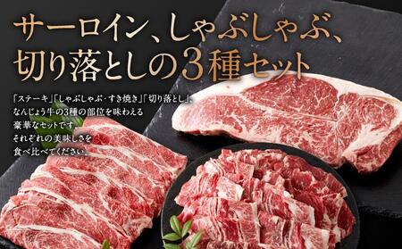 沖縄県産　黒毛和牛　なんじょう和牛３種セット(約600g)