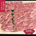 【ふるさと納税】【希少部位】飛騨牛 ヒレ 切り落とし 肉 焼肉用 500g【熊崎畜産】肉 牛肉 高級 ブランド牛 和牛 誕生日 記念日 お祝い パーティー アウトドア キャンプ バーベキュー【おうちBBQ】お届け：入金確認から2週間以内に順次発送 岐阜県 中津川市 F4N-0620