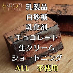 濃厚ヴィーガンチョコ【MOON CHOCO】太陽と月缶 チョコレート・乳製品・白砂糖・ショートニング不使用 ギルトフリーなチョコレート OSK002