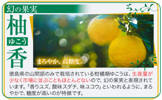 しあわせアイス 5種 セット 計8個 彩食品グループ 《30日以内に出荷予定(土日祝除く)》アイス アイスクリーム ご当地 スイーツ ご当地 アイス 特産品 柑橘 柚香 晩茶 お取り寄せ カップ ジェ