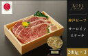 【ふるさと納税】神戸ビーフ　サーロインステーキ （200g×3枚）　【 お肉 神戸牛 牛肉 ステーキ 冷凍 霜降りご馳走 贅沢 サーロインステーキ 】