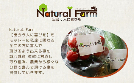 塩麹(坊津の華)1個 Y0-39_調味料   _【配送不可地域：離島】【1616144】