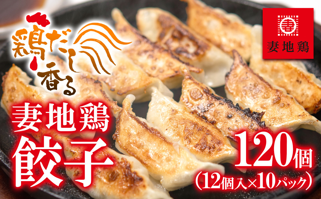 
                  ブランド地鶏 妻地鶏 ぎょうざ詰合せ120個 小分け12個×10パック 地鶏 国産 鶏肉 鳥肉 おかず餃子＜1.5-13＞8-23a
                