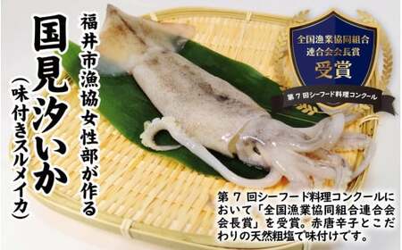 ふくい海の幸2点セットB 【ふくいサーモン するめ スルメ いか イカ 汐いか 冷凍】 [A-004011]