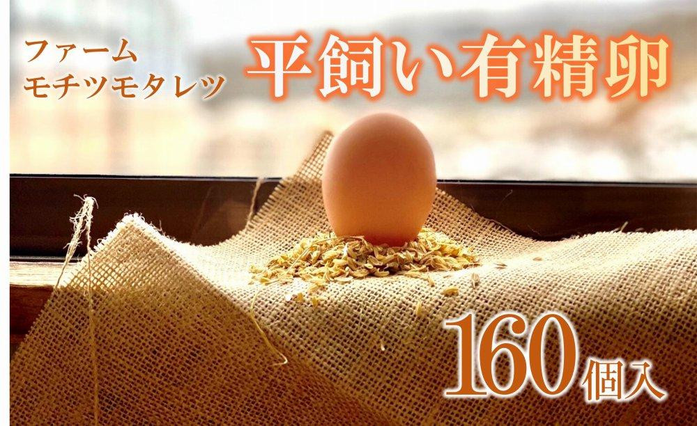 
ファームモチツモタレツの平飼い有精卵（160個入）
