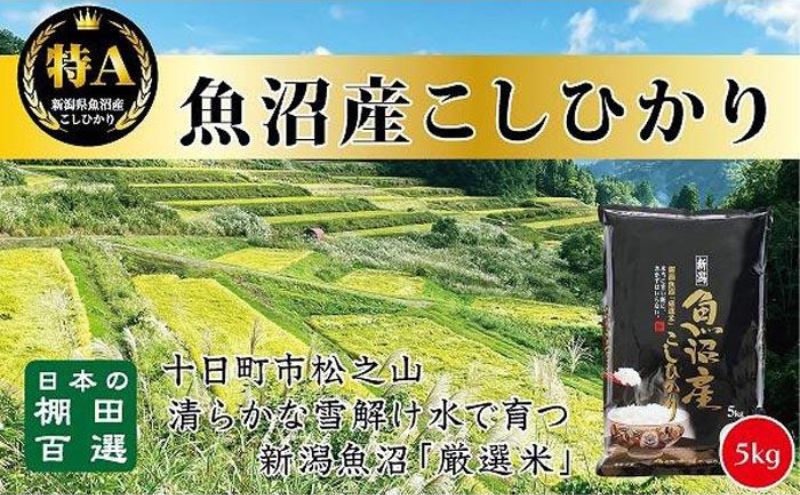 【令和7年産新米予約】【食味鑑定士厳選】日本棚田百選のお米　天空の里 魚沼産 こしひかり 5kg