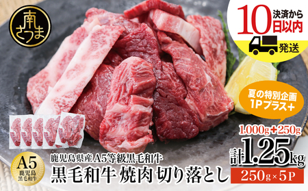 ★最短発送★鹿児島県産 A5等級 黒毛和牛 焼肉 切り落とし 計1.25kg（250g×5P）【数量限定・期間限定：8月31日まで！】 夏の生活応援 特別企画 国産牛 牛肉 国産 焼き肉 カミチク 切落し おまかせ BBQ バーベキュー 小分けパック 冷凍