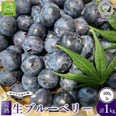 【ふるさと納税】完熟ブルーベリー　500g×2パックセット【配送不可地域：離島】【1747691】