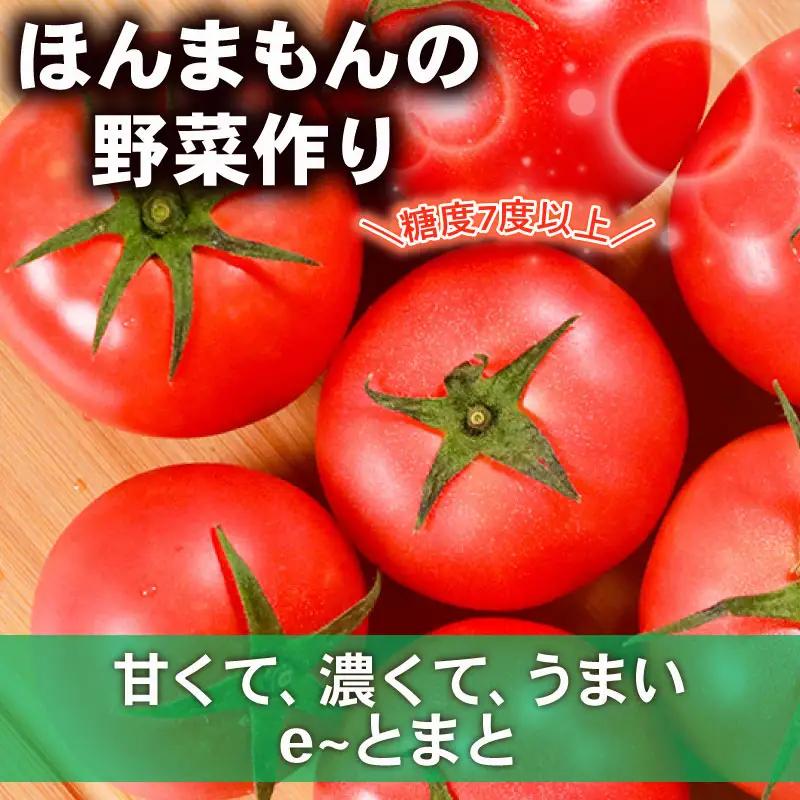 【先行予約】 e～トマト 中玉 約2kg 高糖度 濃厚 有機肥料 エコ農産物 上田ファーム