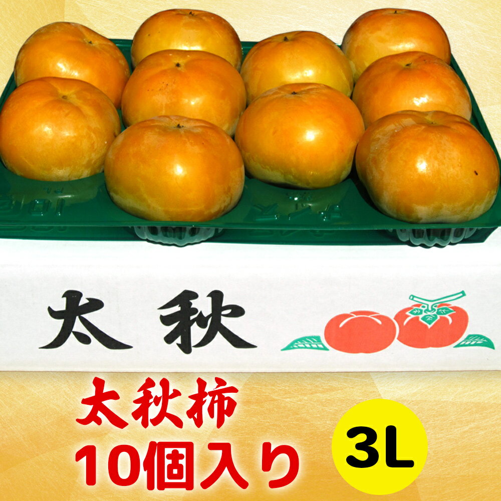 【ふるさと納税】[先行予約] 令和7年産 高橋柿ファームの太秋柿 3Lサイズ 10個入り《10月上旬より発送予定》[0999]｜かき 太秋 フルーツ カキ 果物 くだもの 産地直送 岐阜県 本巣市 15000円