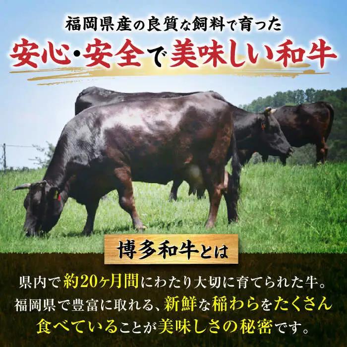 博多和牛モモ・ウデ焼肉用(お肉ソムリエ開発焼肉のたれ付) VDS003 焼肉  