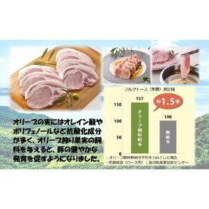 オリーブ豚　ロース焼肉用　300g