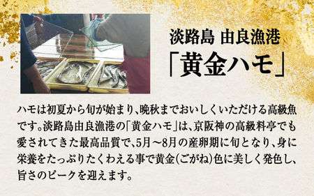 淡路島黄金はも湯引き 2～3人前　酢味噌・梅肉付き  / はも