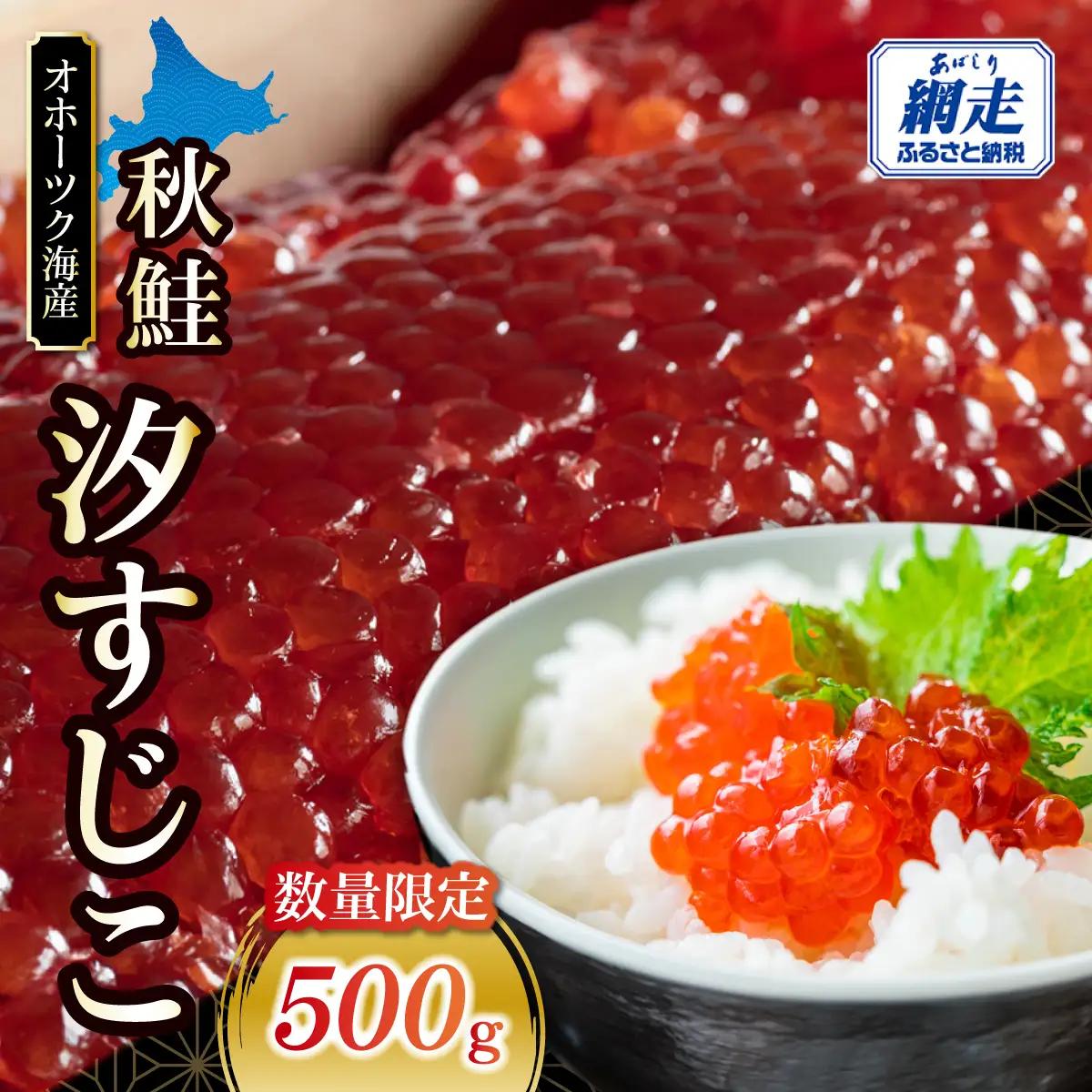 【数量限定】秋鮭 汐すじこ 500g ABBI017｜すじこ 魚卵 海鮮 おかず おにぎりの具 贈答 ギフト 人気 北海道 網走市