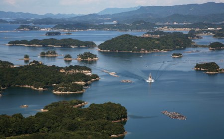 九十九島かき本舗岩がきC