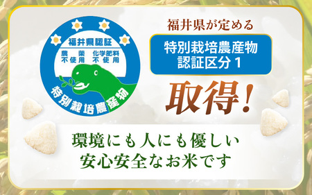 【期間限定】 定期便 ≪3ヶ月連続お届け≫【令和7年産 】特別栽培米コシヒカリ5kg × 3回（合計15kg）【玄米】 無農薬米 福井県認証区分1取得 越前町【5キロ お米 コメ 農薬化学肥料不使用 