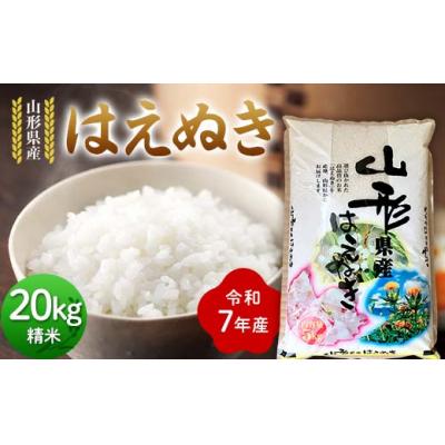 ふるさと納税 戸沢村 ≪先行予約≫令和7年度 山形県産 はえぬき 20kg(5kg×4) 精米 F7W-0100